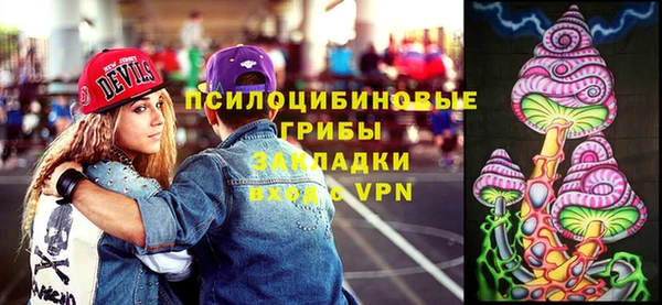 бошки Нягань