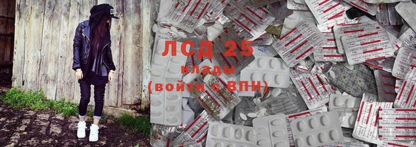 прущие грибы Новодвинск
