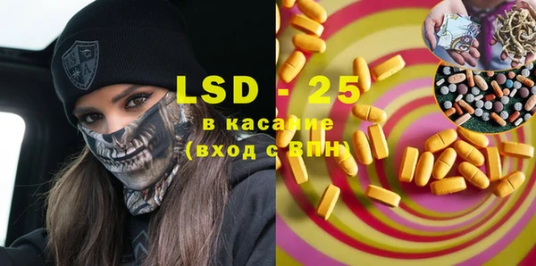 шишки Новокубанск