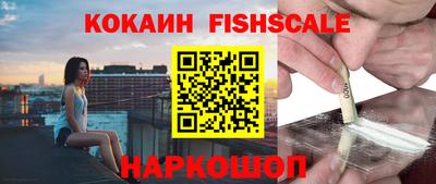 молекула духа Гатчина