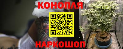 ПСИЛОЦИБИНОВЫЕ ГРИБЫ Гай