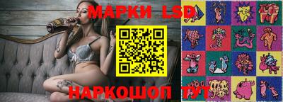 молекула духа Гатчина