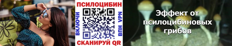Галлюциногенные грибы GOLDEN TEACHER  Прохладный 