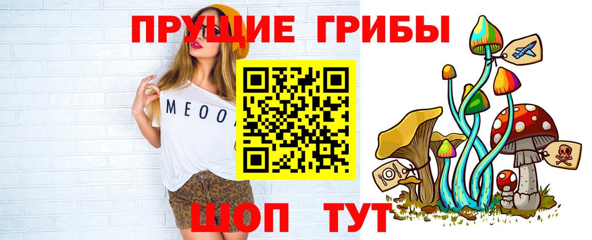 Прохладный  Псилоцибиновые грибы Psilocybine cubensis  Вход с VPN 