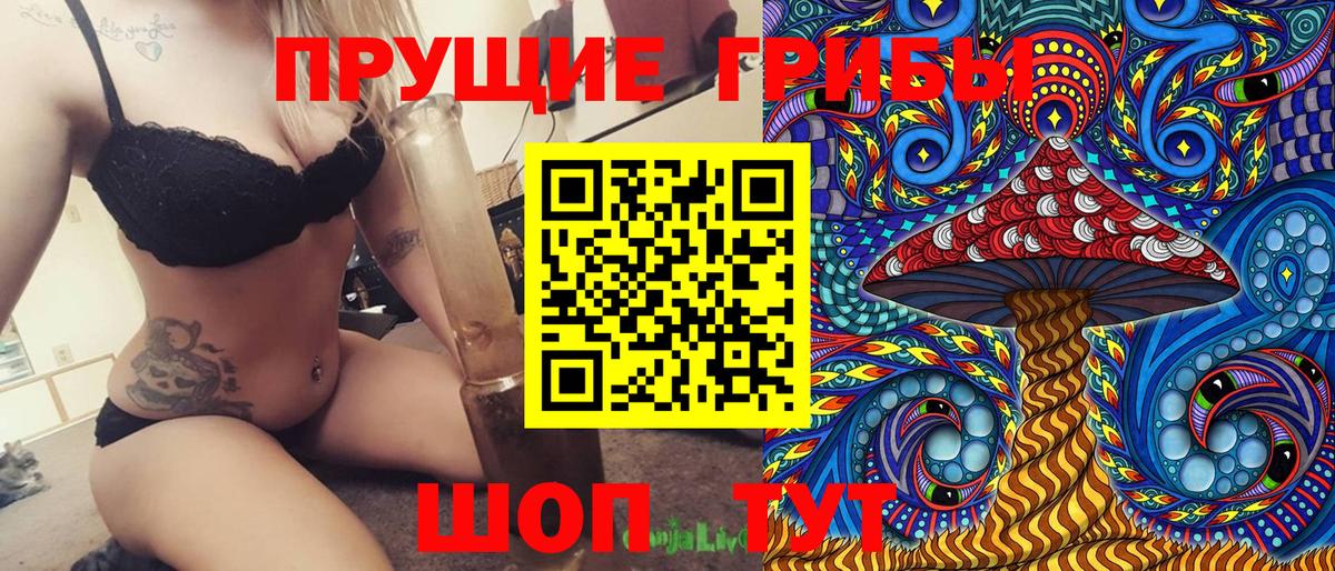 Псилоцибиновые грибы Psilocybe  Прохладный 