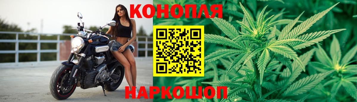 Канабис гибрид Прохладный